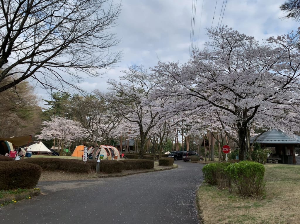 那須野が原公園オートキャンプ場フリーテントサイト