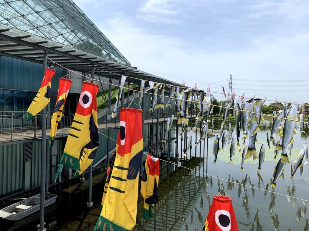 なかがわ水遊園のきぶなのぼり2021
