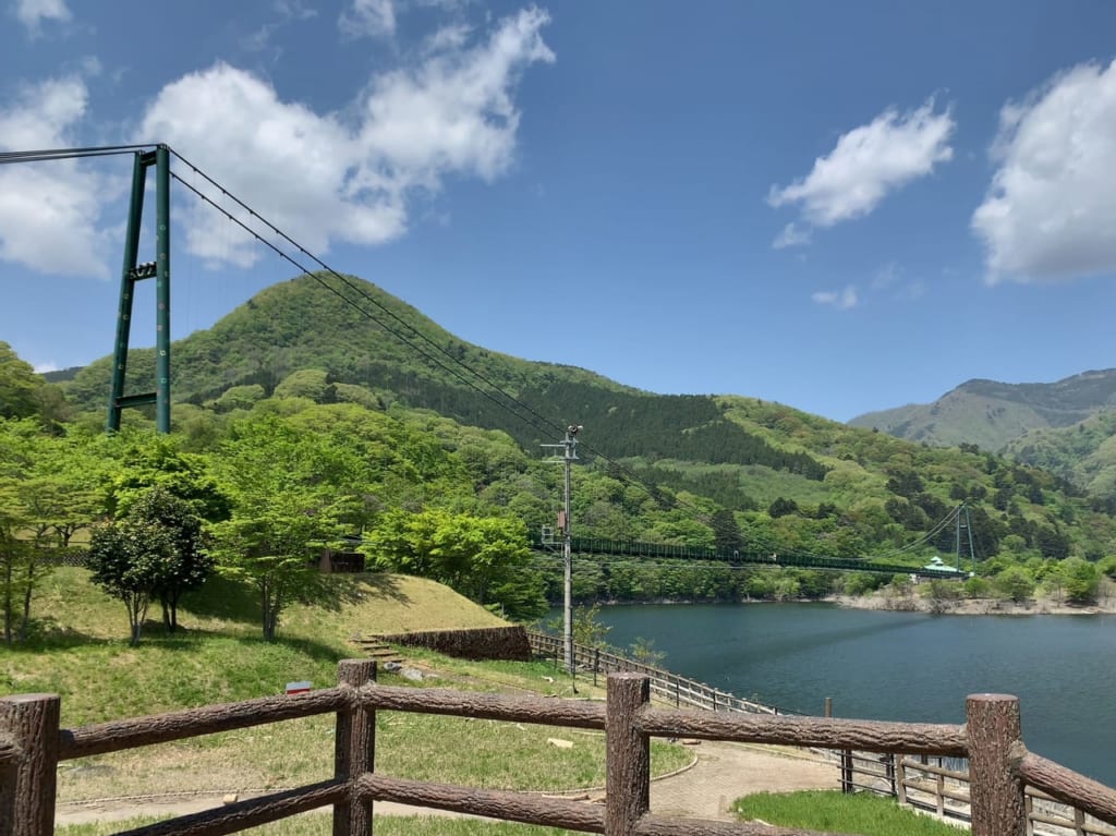 もみじ谷大吊橋全景