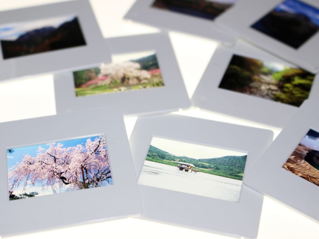 写真のイメージ