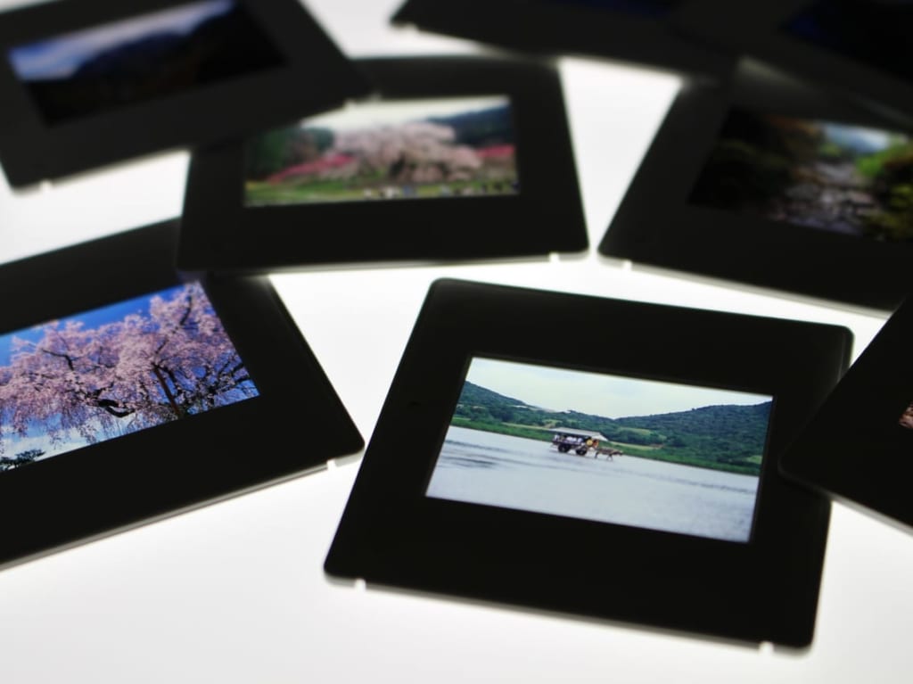 写真コンテストイメージ