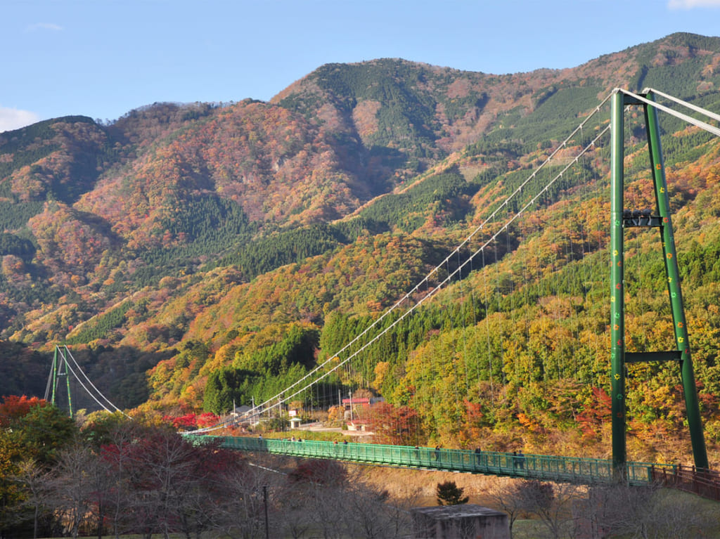 塩原・もみじ谷大吊橋の秋