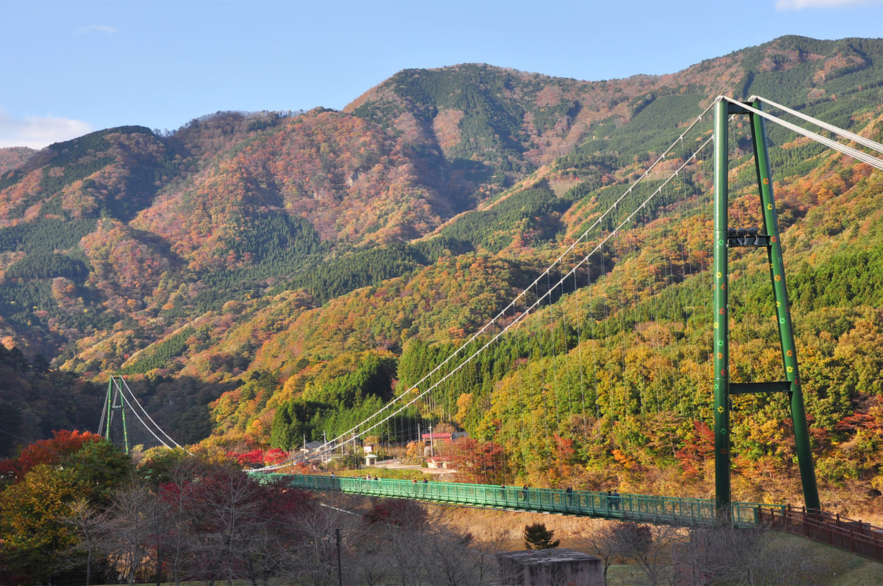 塩原・もみじ谷大吊橋の秋