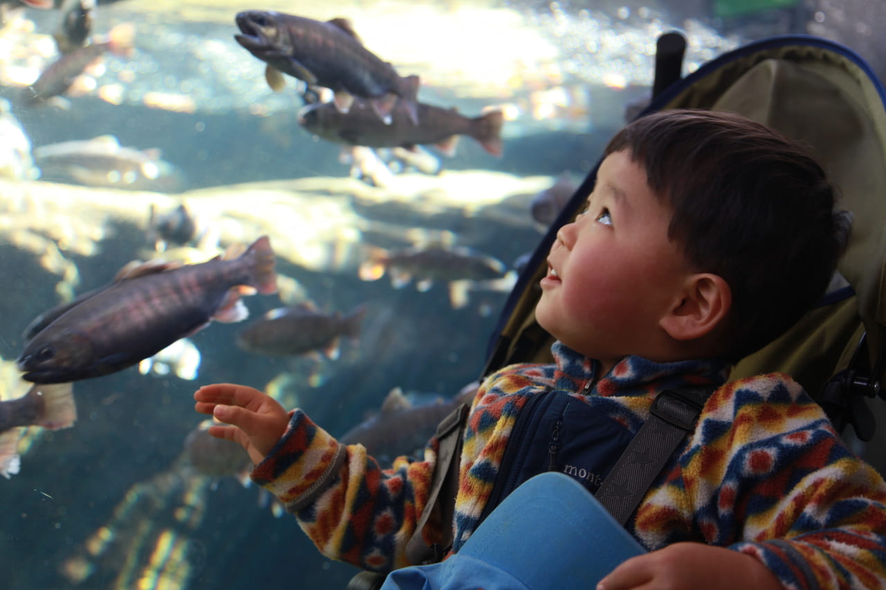 なかがわ水遊園フォトライブラリー01