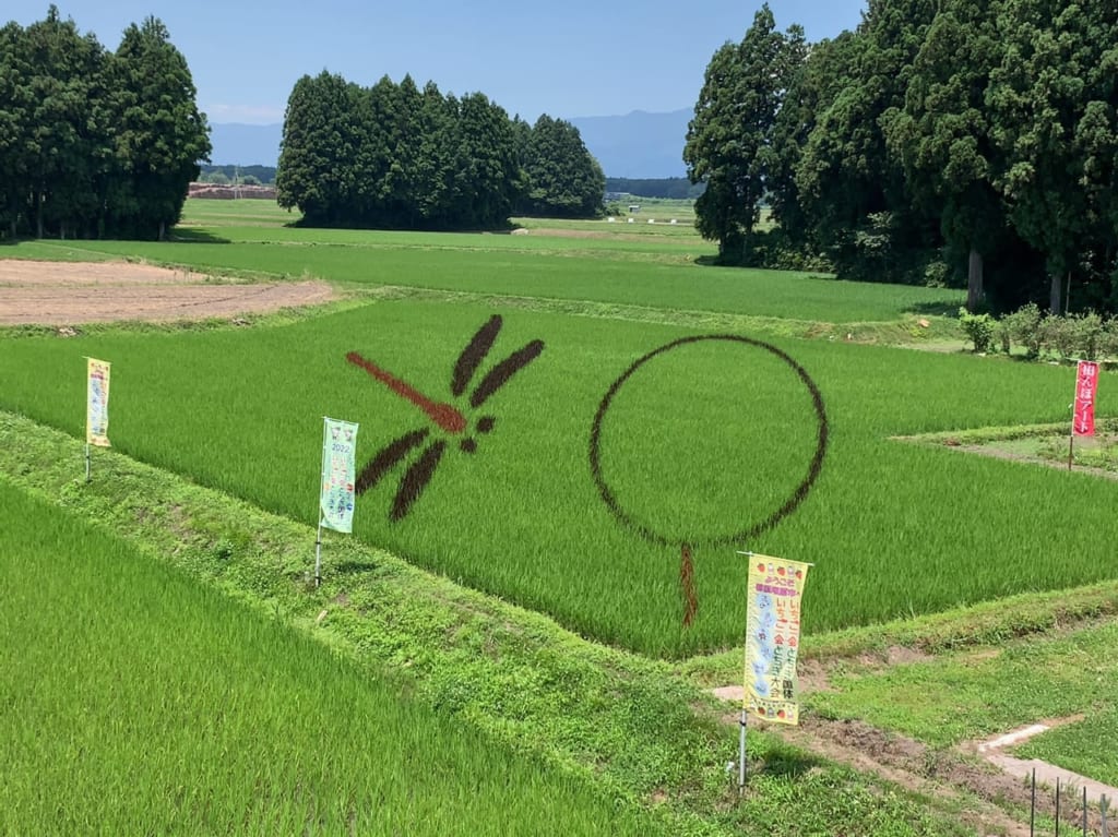 田んぼアート西遅沢2022年05