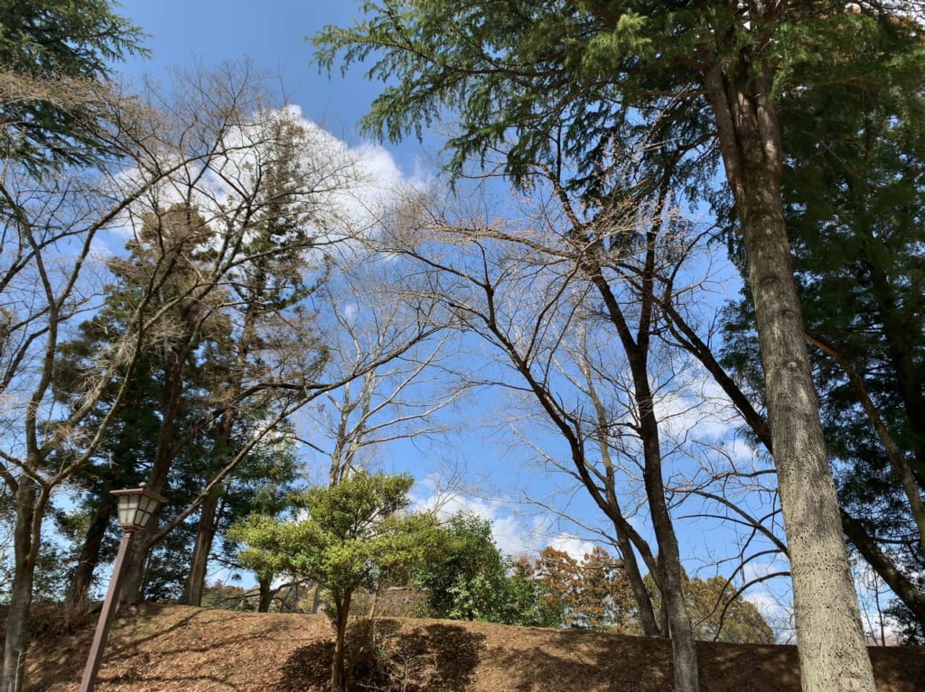 龍城公園2023春04