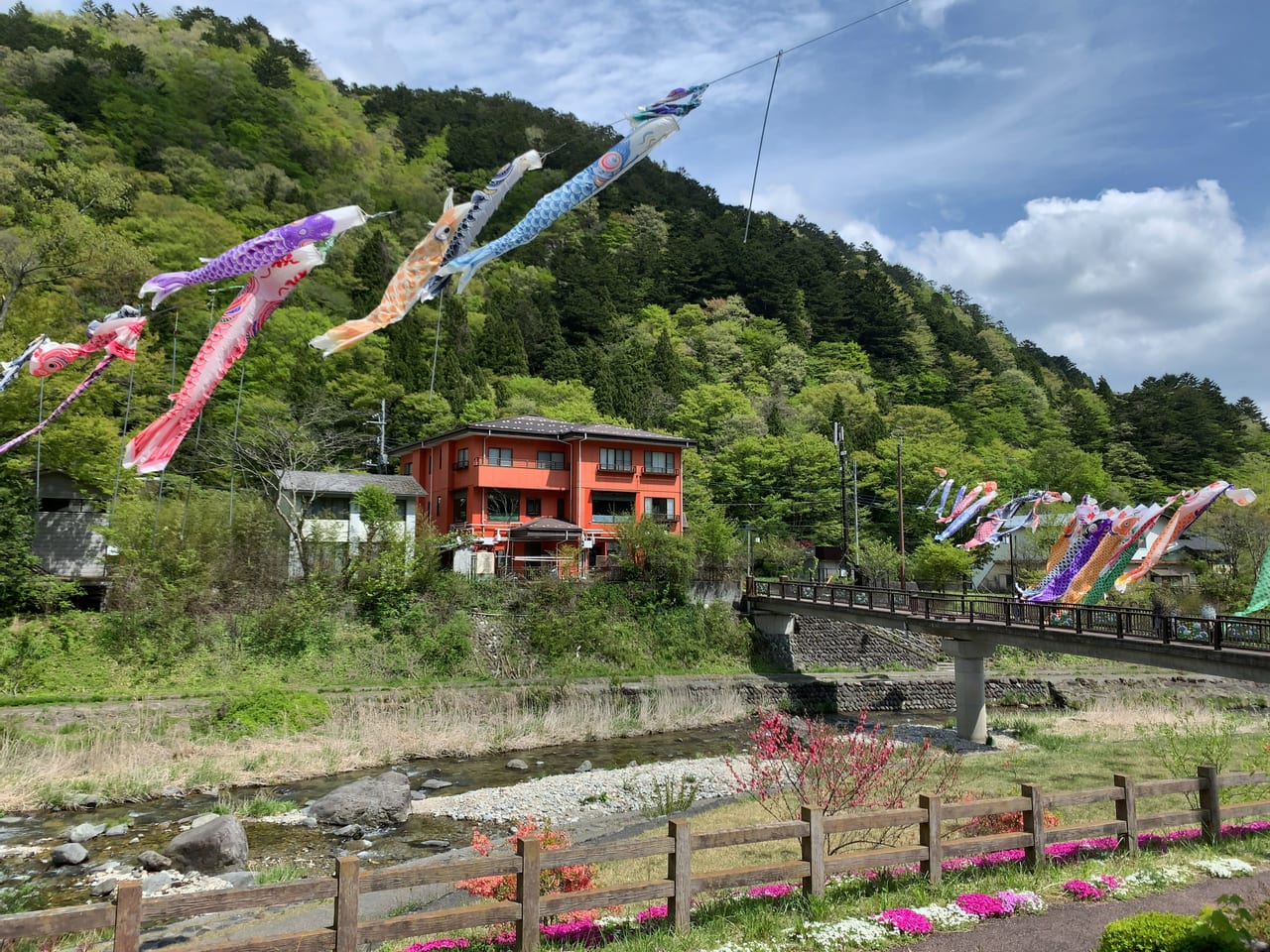 板室温泉鯉のぼり01