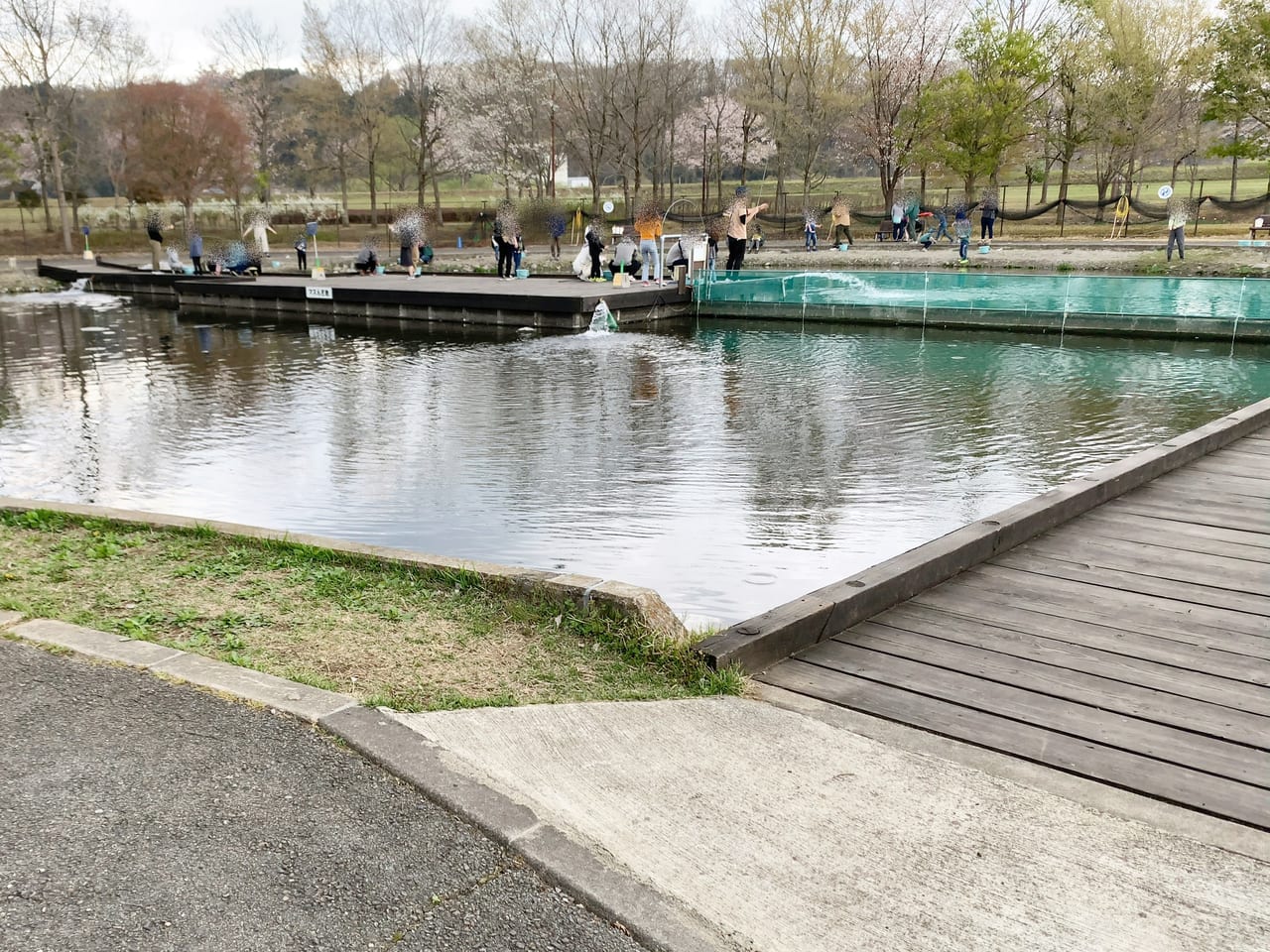 なかがわ水遊園つり池2023春-07