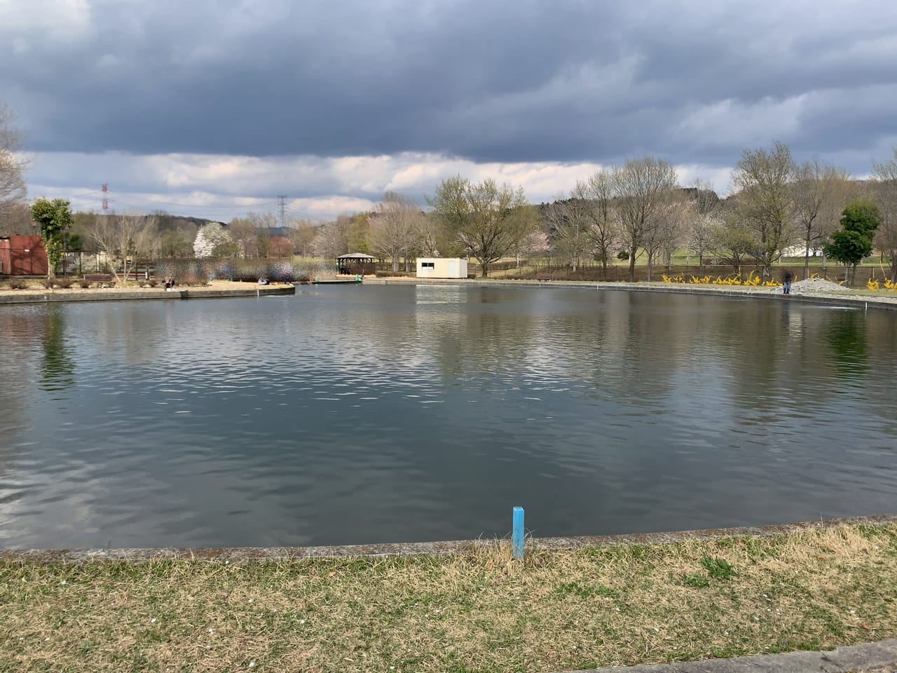 なかがわ水遊園つり池2023春-08