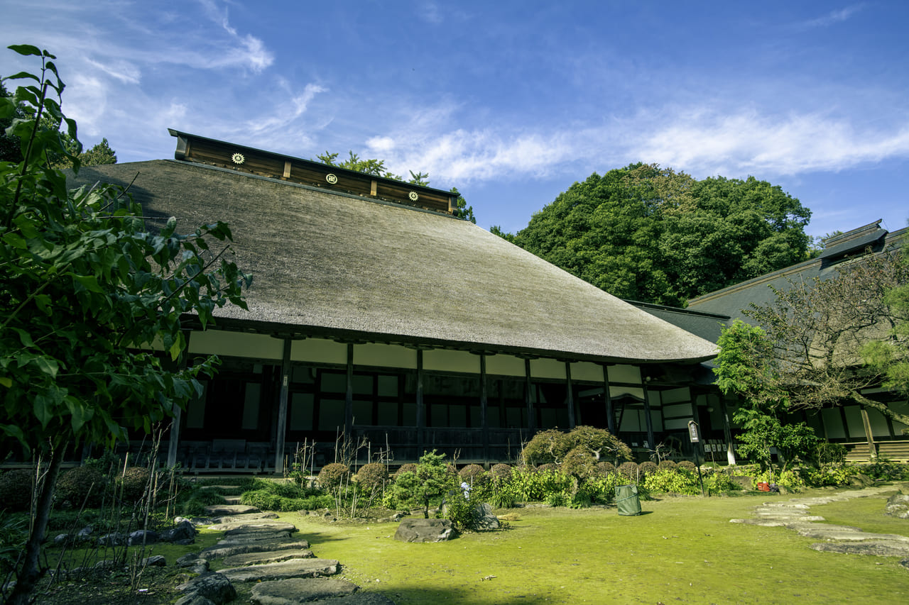 大雄寺イメージ