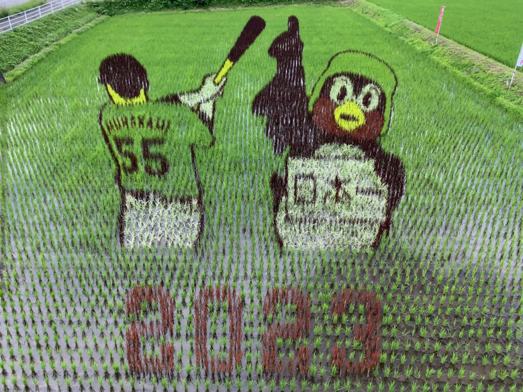 2023田んぼアート第1会場02