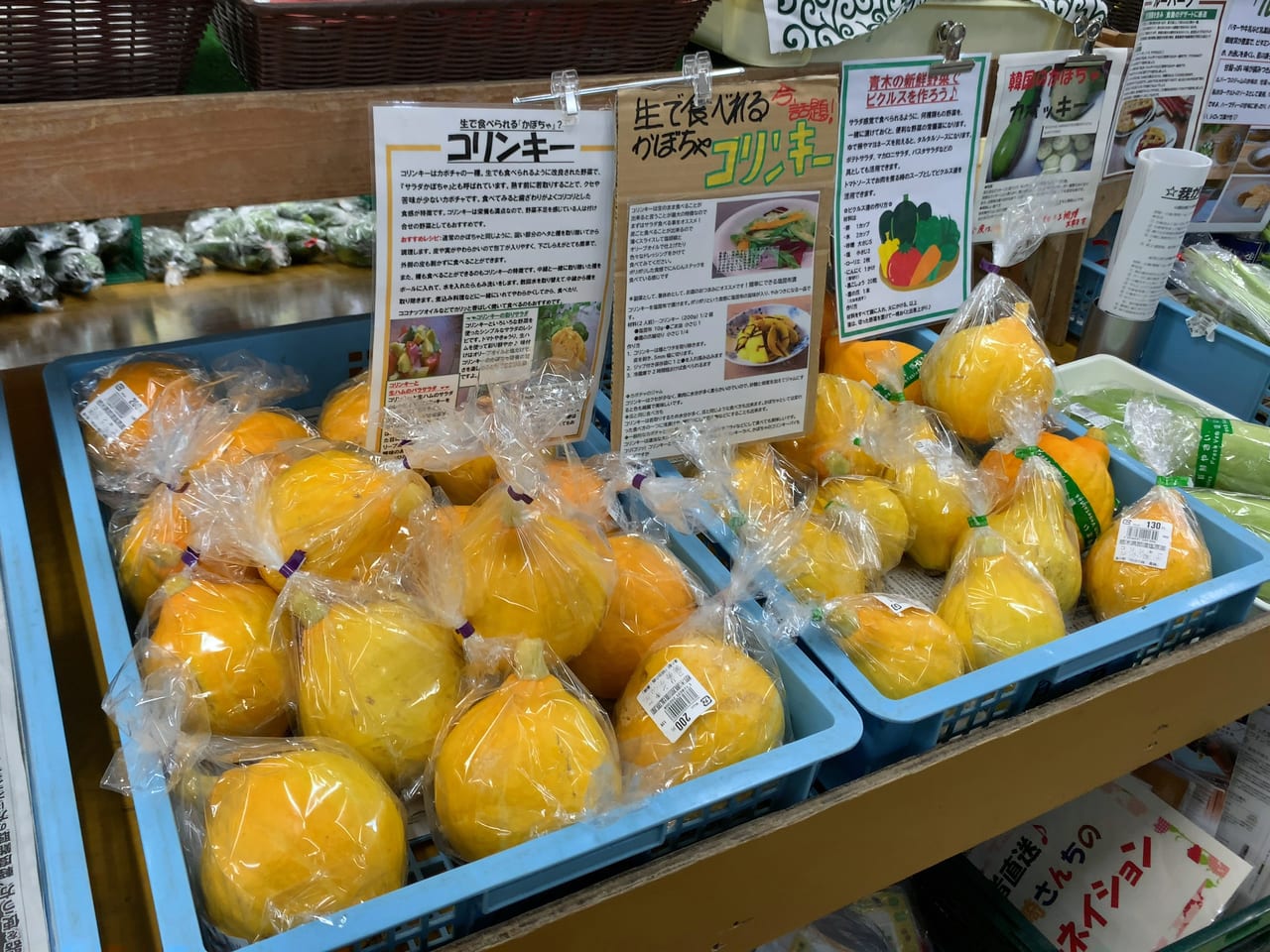 道の駅「明治の森・黒磯」仮店舗06