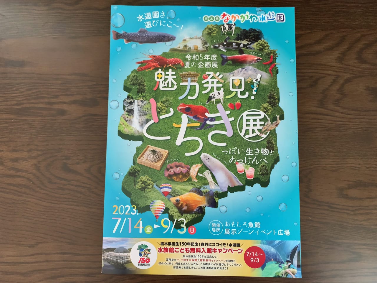 なかがわ水遊園23夏企画展・イベント01