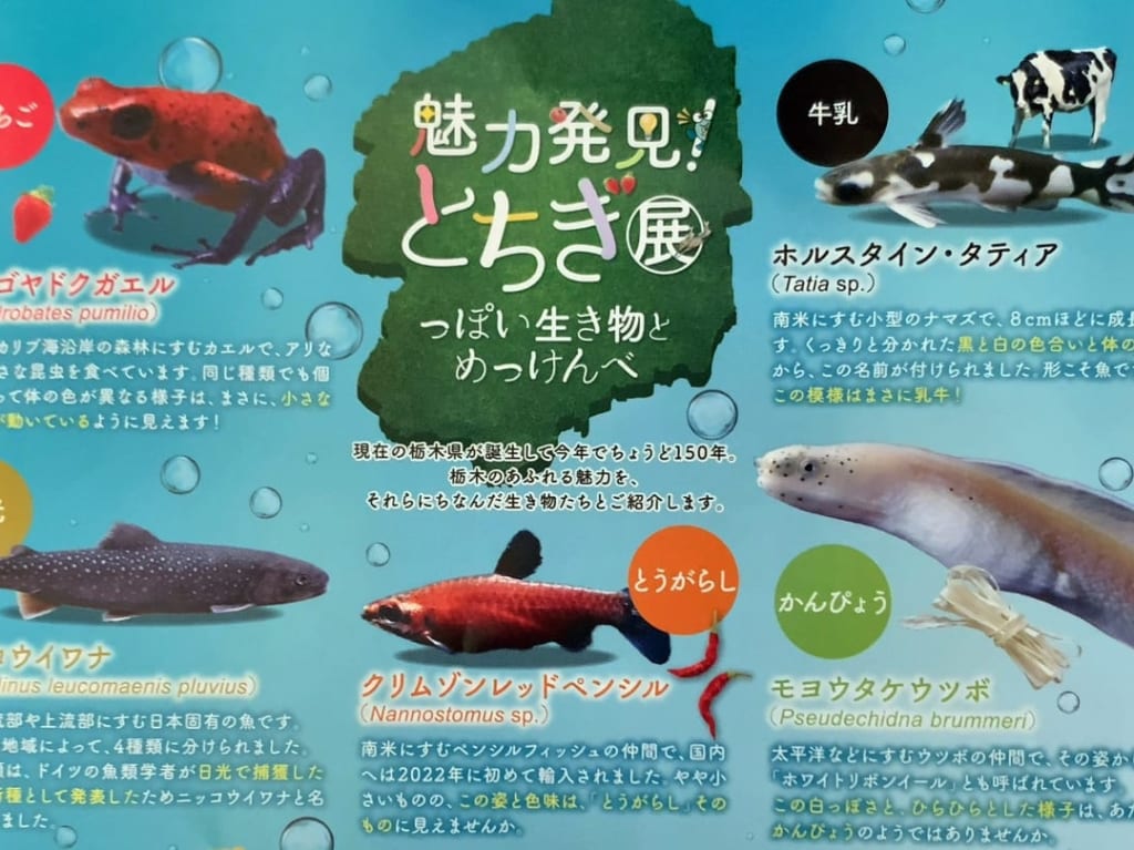 なかがわ水遊園23夏企画展・イベント02