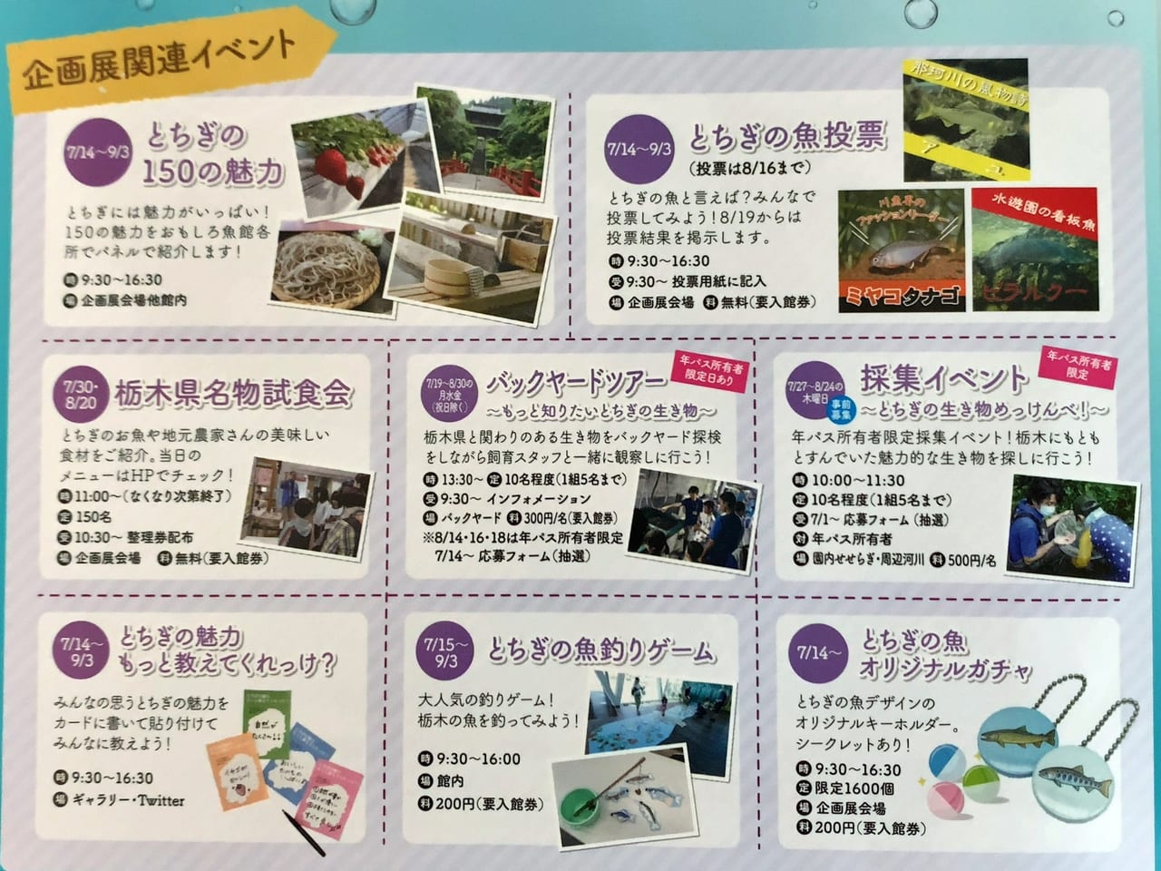 なかがわ水遊園23夏企画展・イベント03