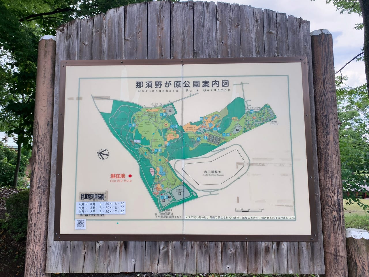 那須野が原公園2307-03