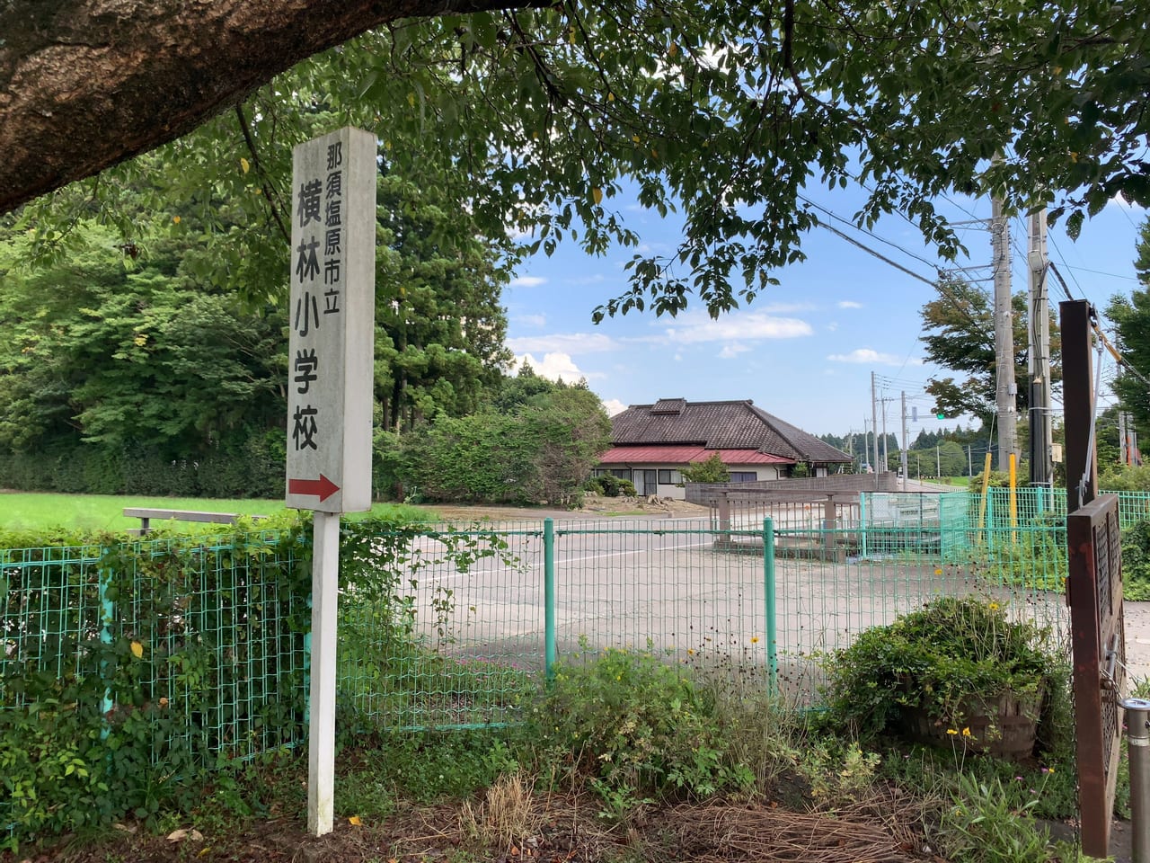 横林小学校01