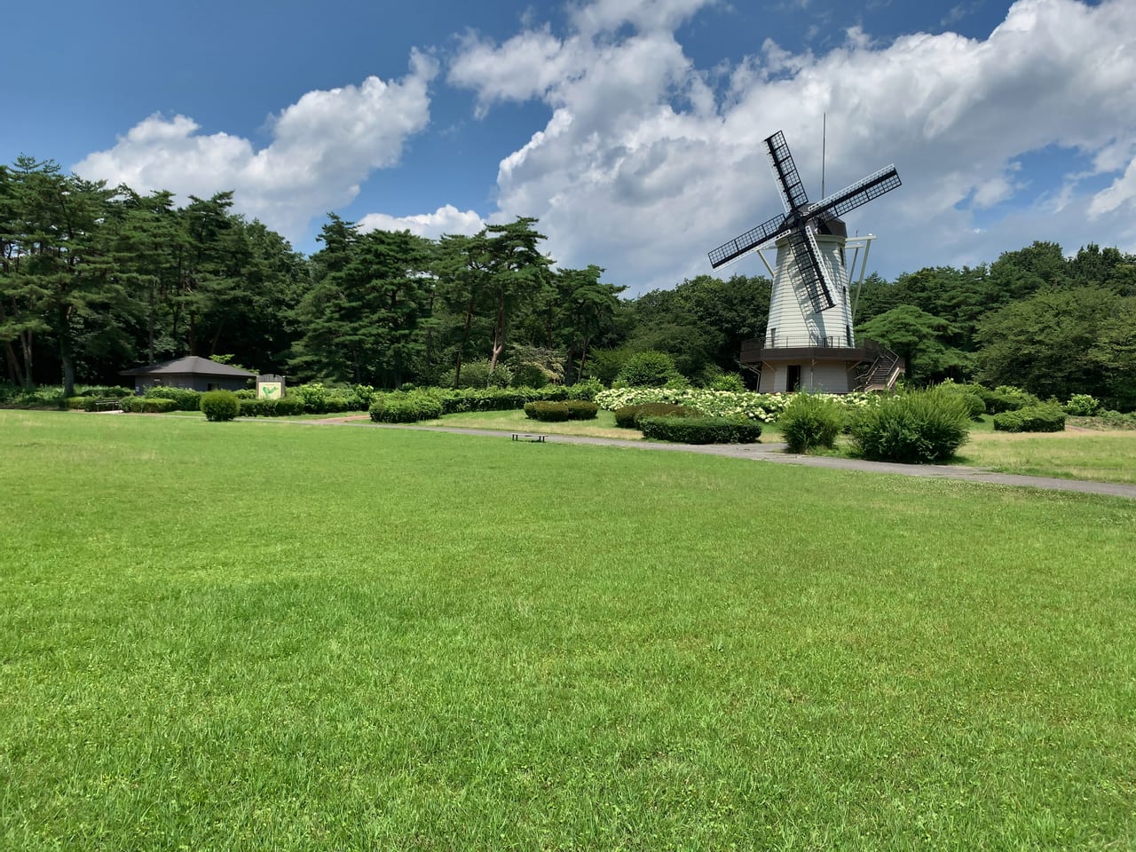 那須野が原公園芝生広場