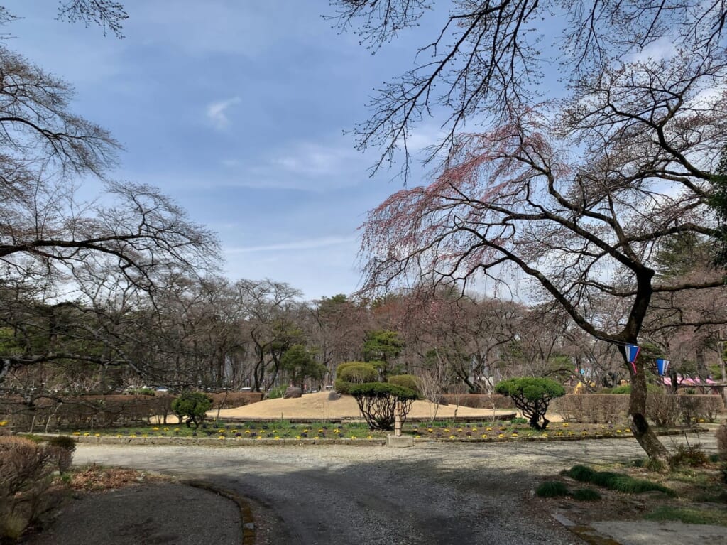 黒磯公園2023春03