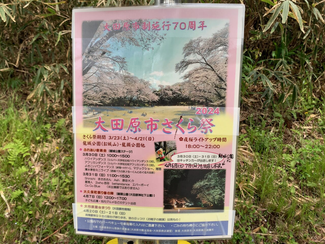 龍城公園の桜2024-03