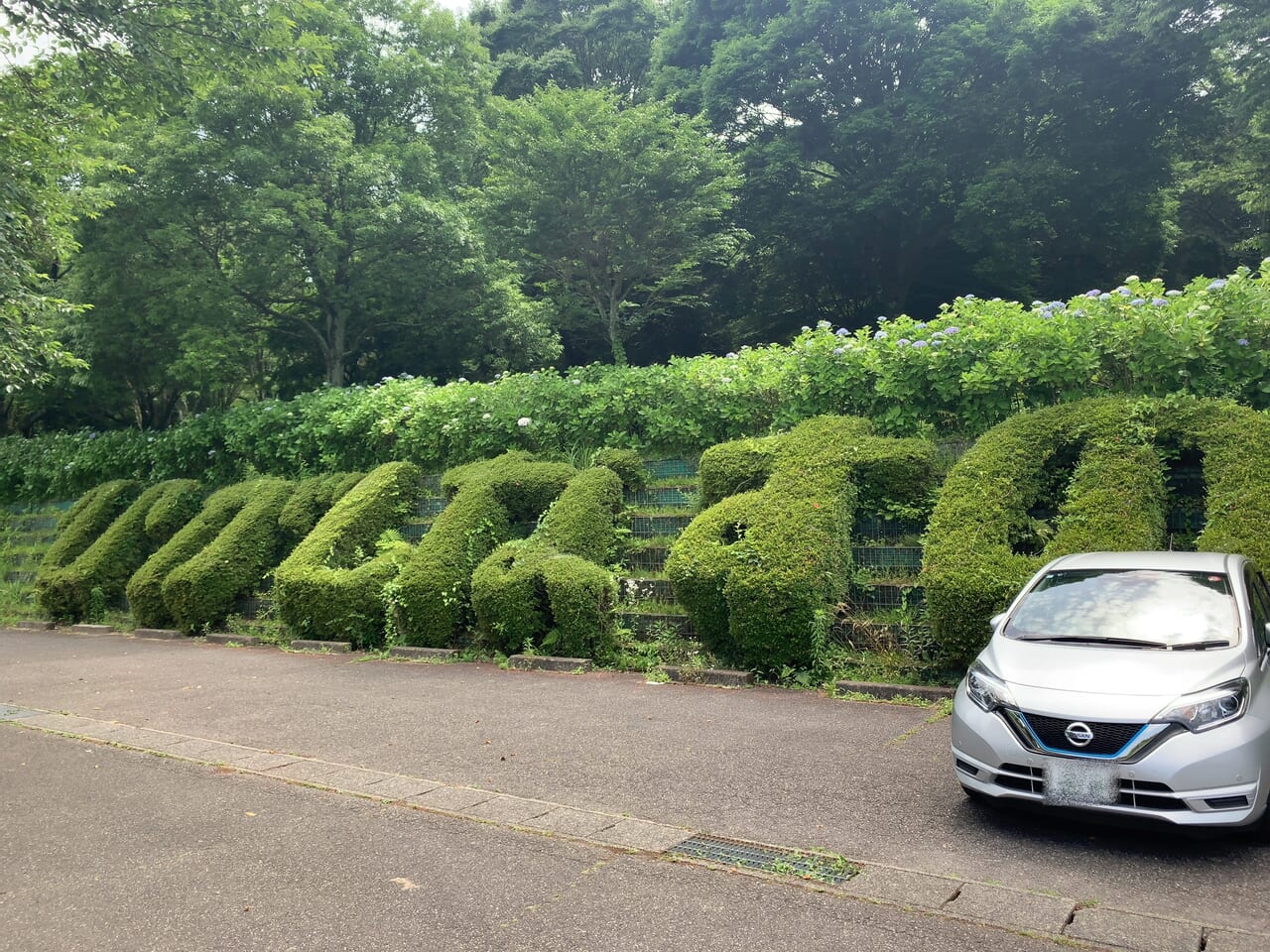 東那須野公園2406-01