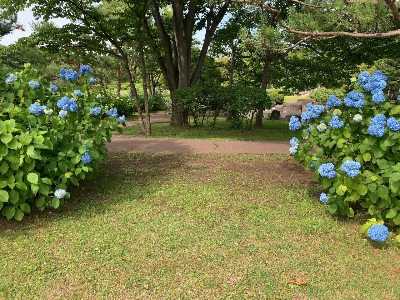 那珂川河畔公園2406-01