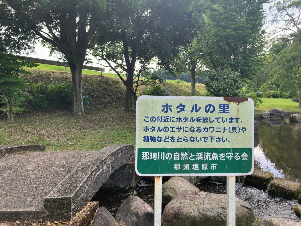 那珂川河畔公園2406-03