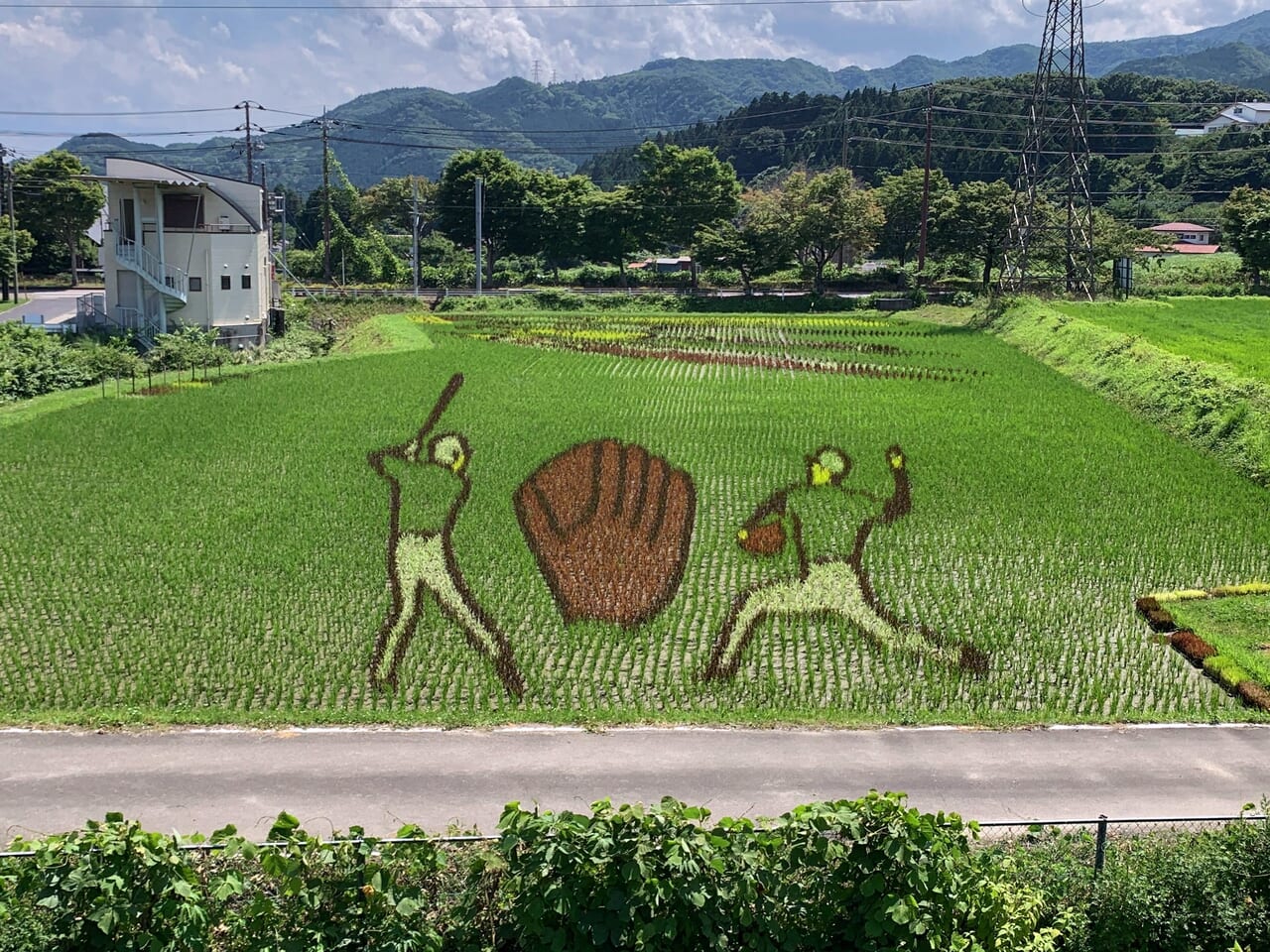 田んぼアート塩原会場2024-06