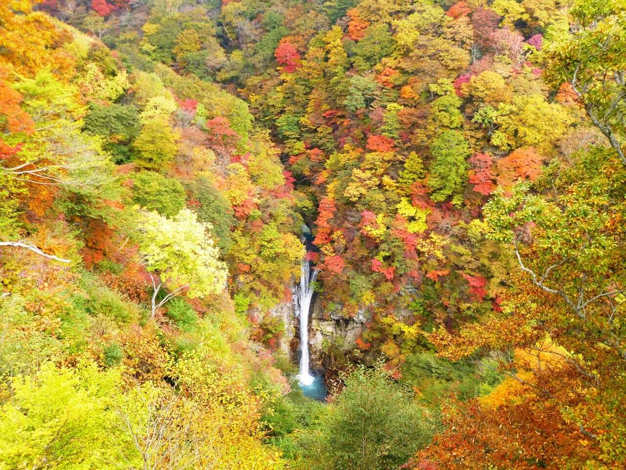 八溝山周辺地域を巡るドライブスタンプラリー03