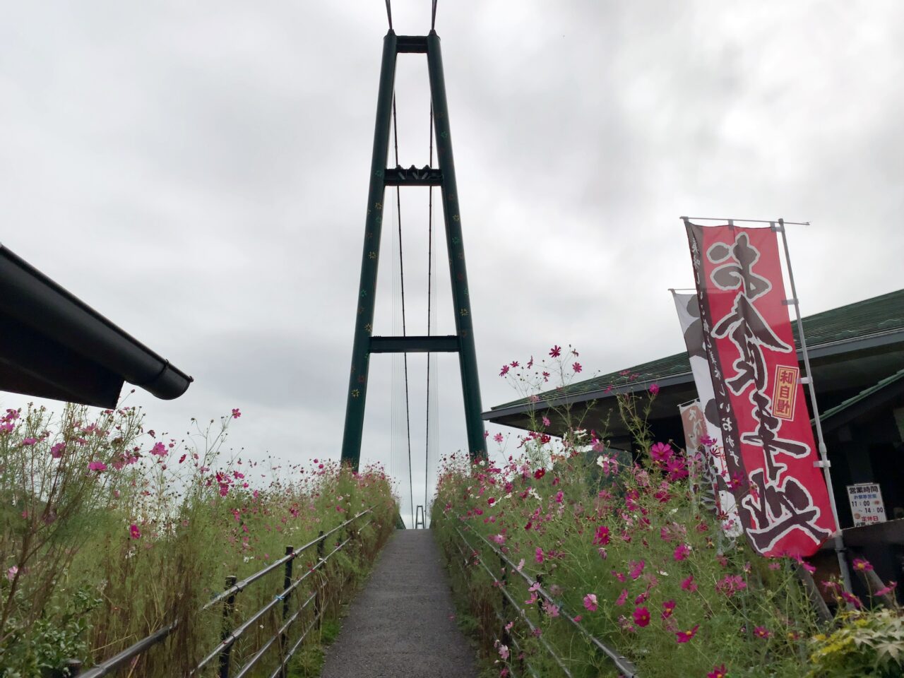 もみじ谷大吊橋2410-01