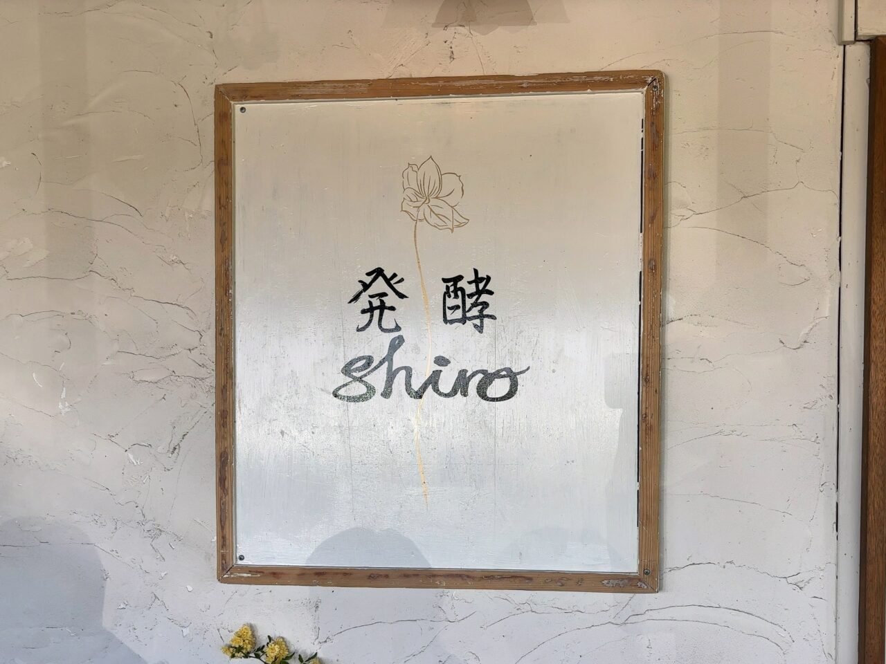 発酵Shiro01