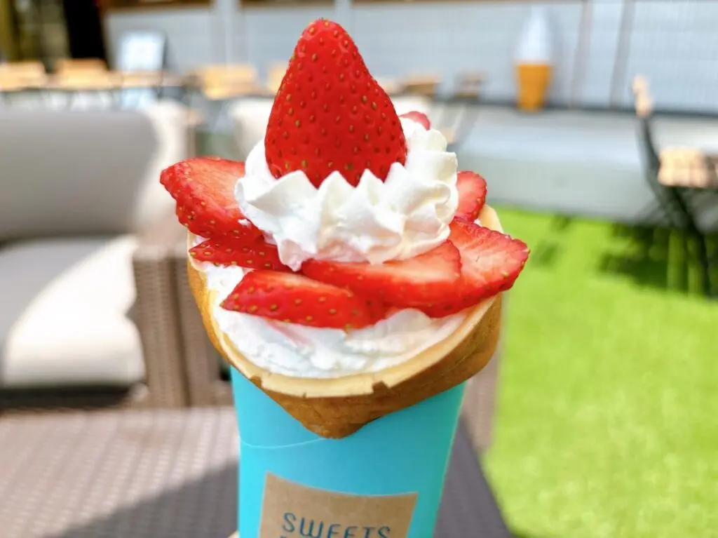 SWEETSDREAMS06