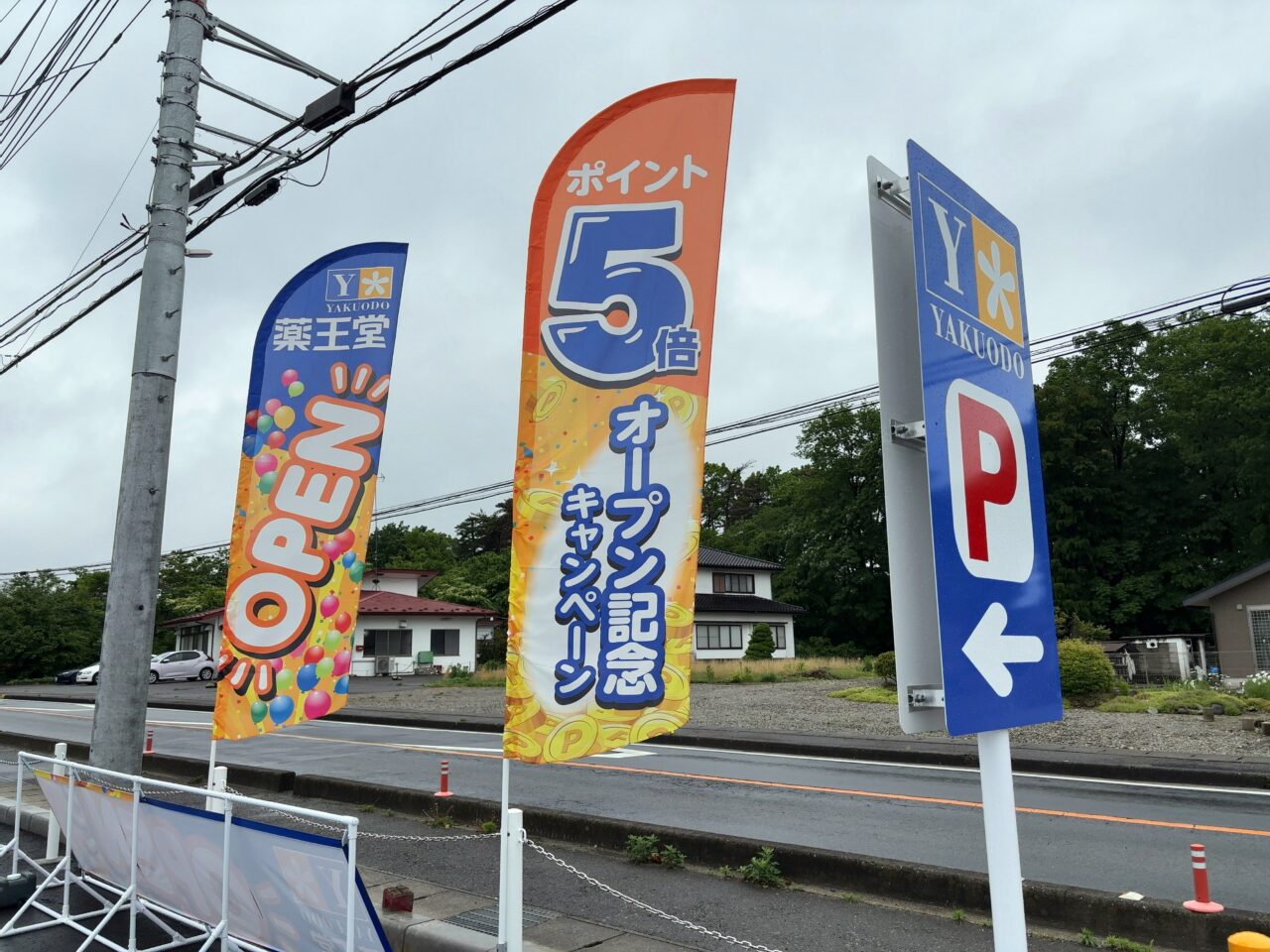 薬王堂黒磯埼玉稲村店オープン03