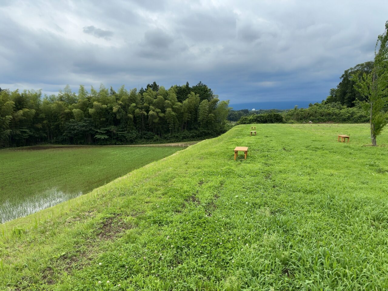 たぬジェラ09