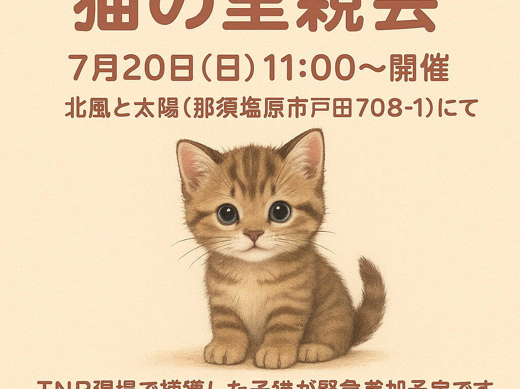 猫の里親会250720