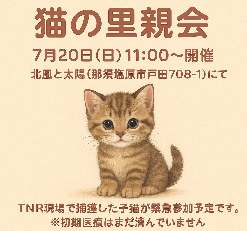 猫の里親会250720