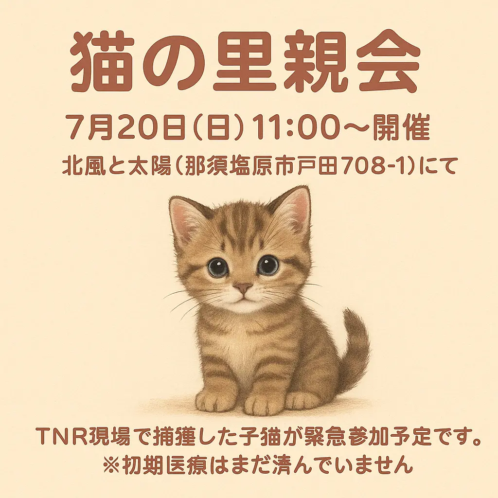 猫の里親会250720