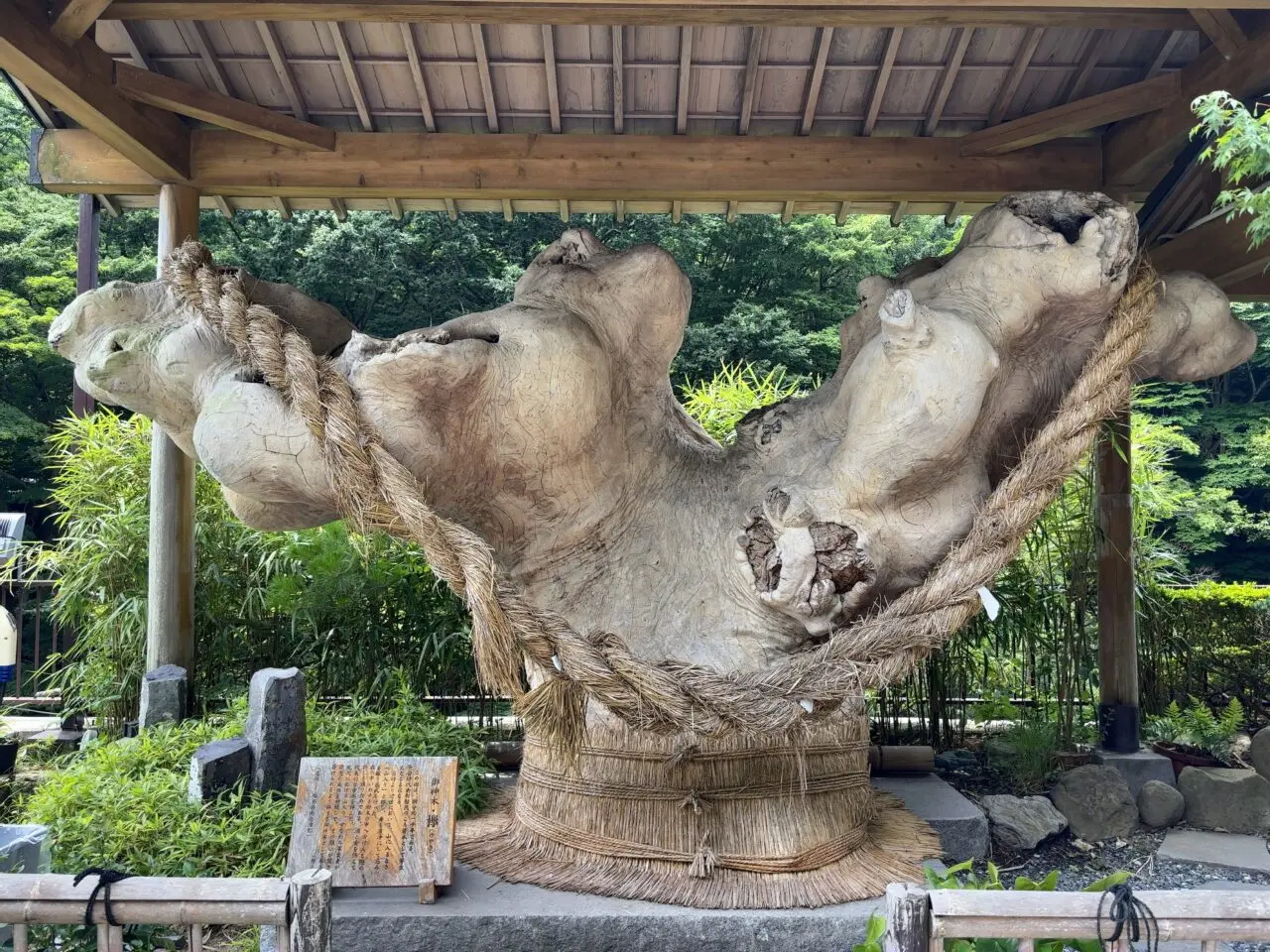 湯の花荘とて焼02