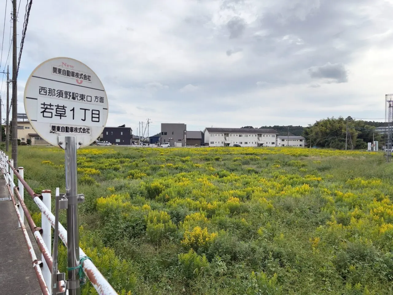 薬王堂大田原若草店建設工事開始04