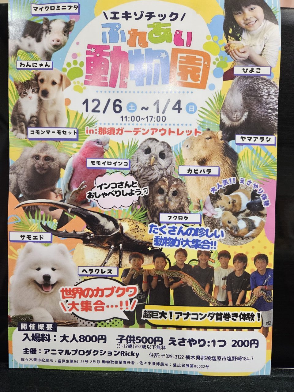 ふれあい動物園2025-1