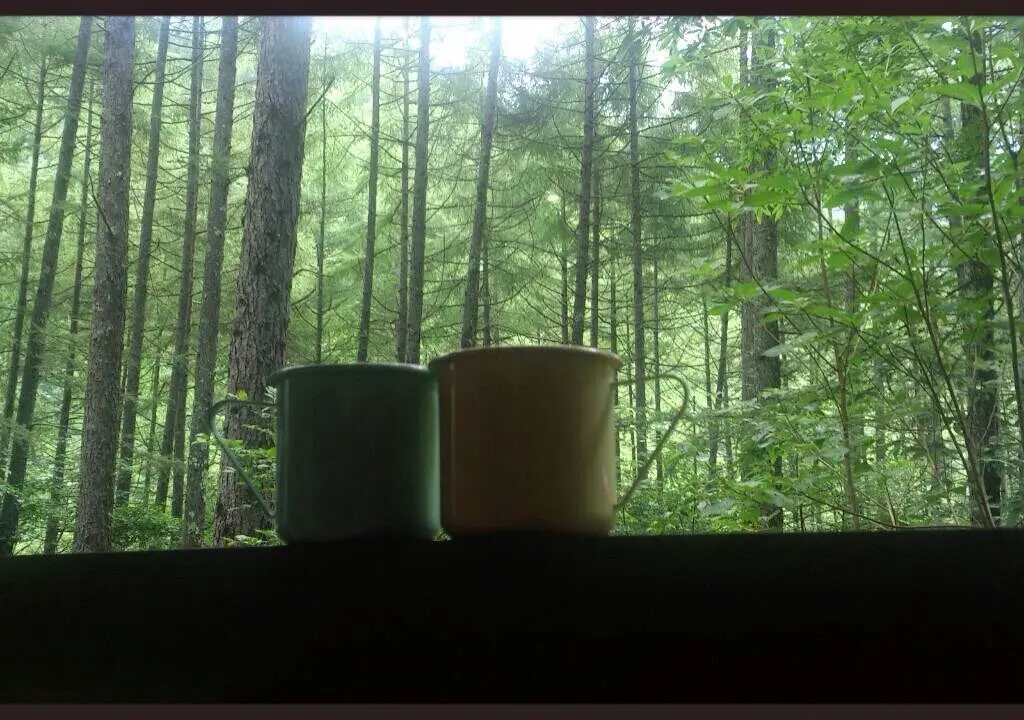 山の中でいただくコーヒーのイメージ