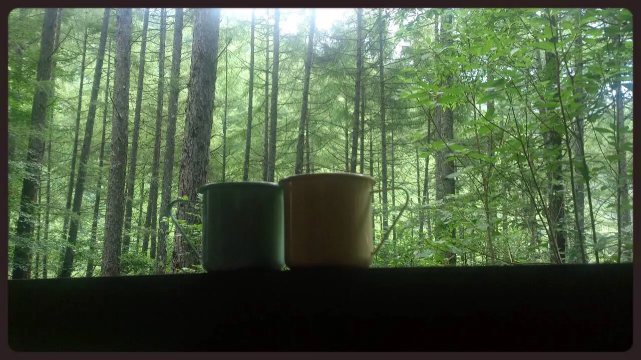 山の中でいただくコーヒーのイメージ