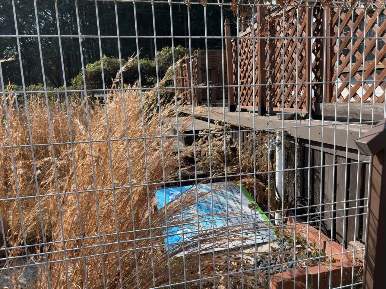 焼肉じゅうじゅう閉店02