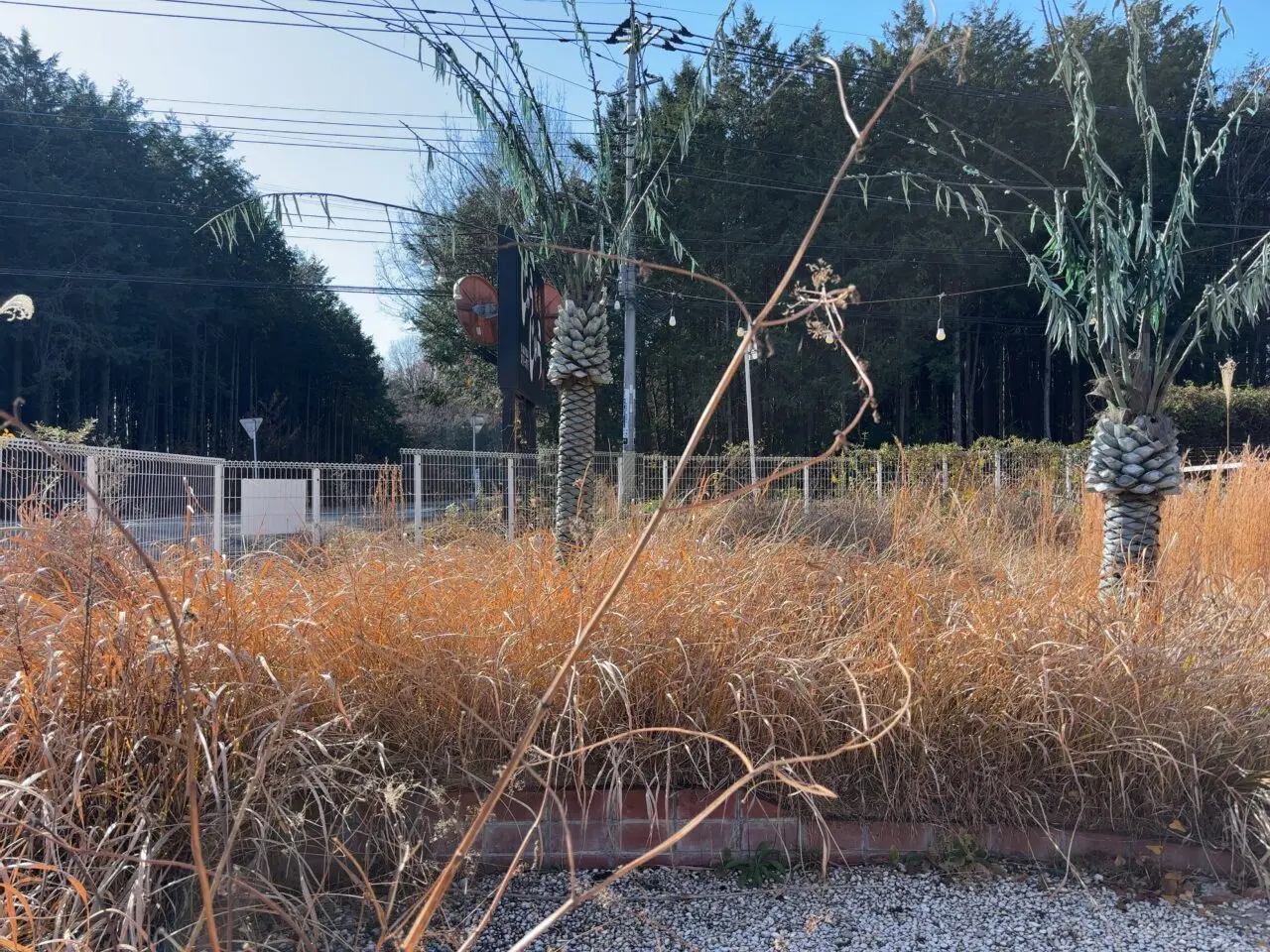 焼肉じゅうじゅう閉店03