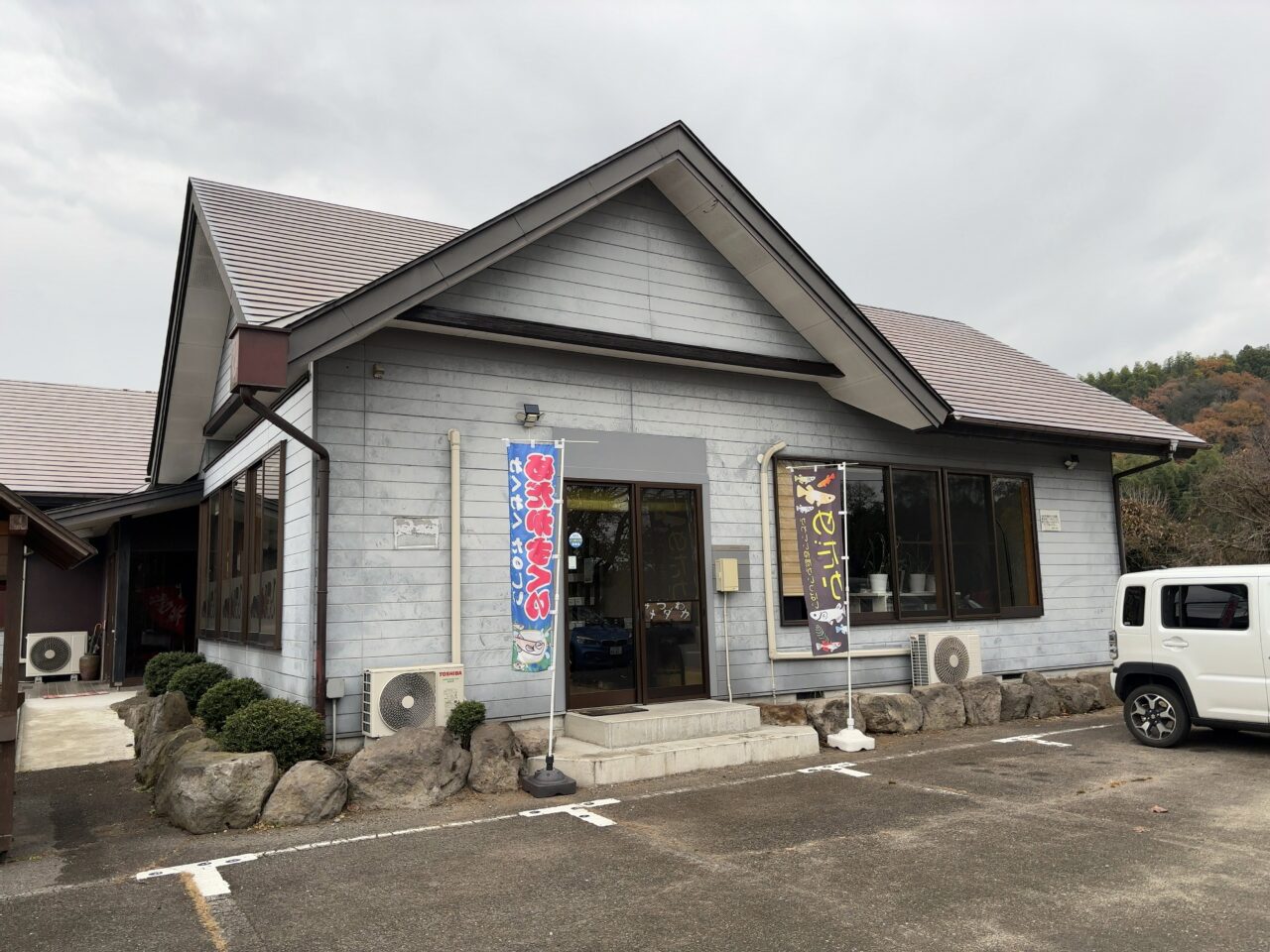 みつわメダカ01