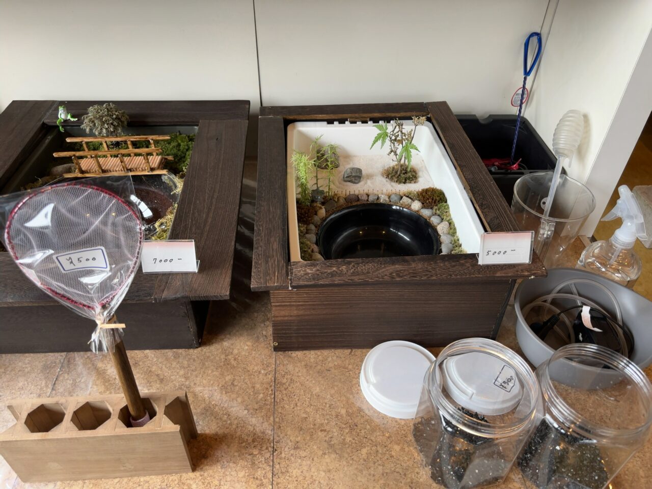 みつわメダカ06