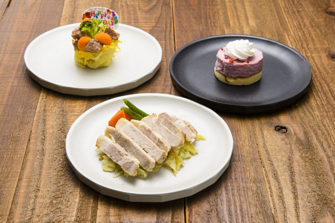 わんわんリゾート 那須塩原07