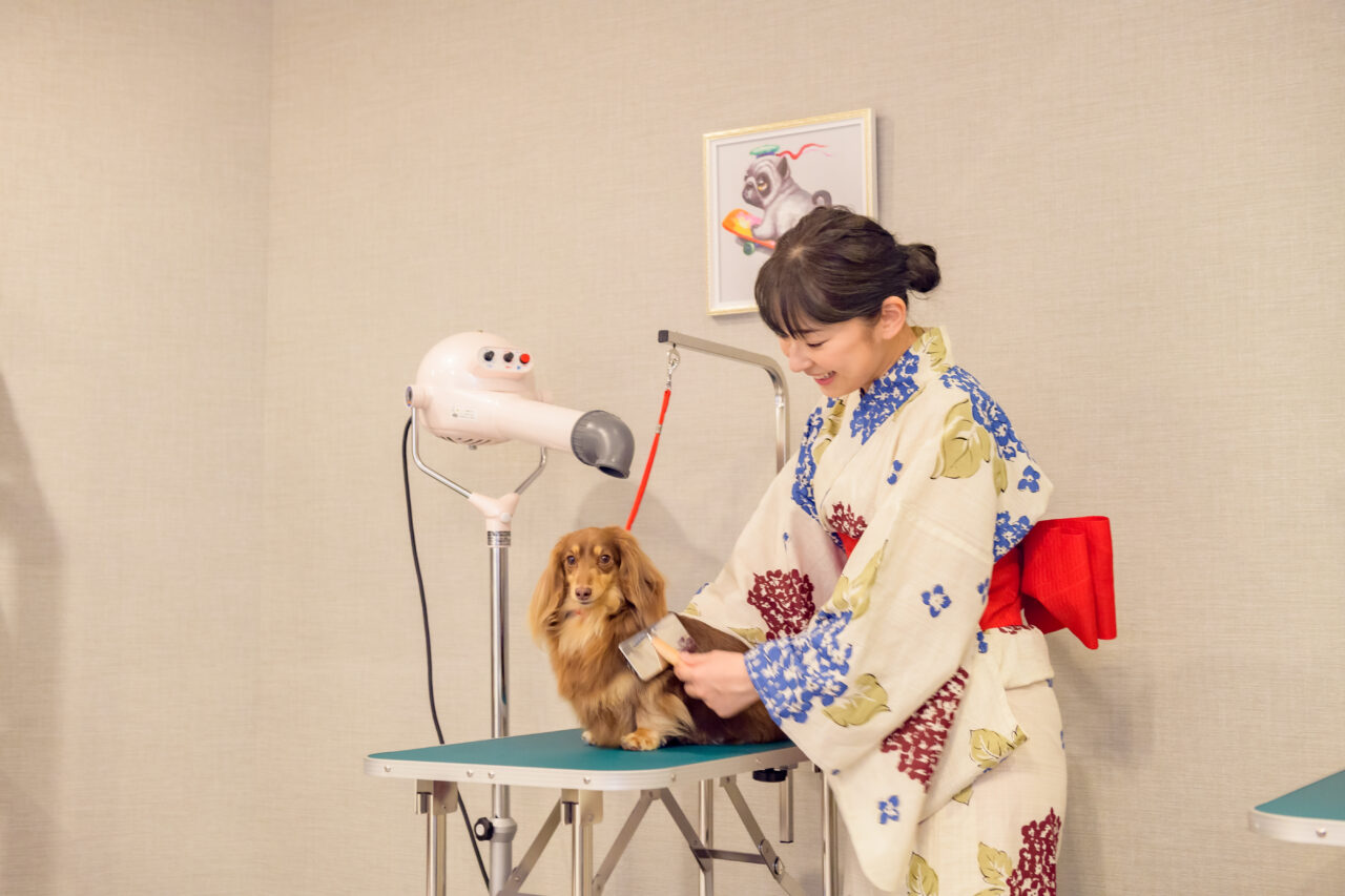 わんわんリゾート 那須塩原08