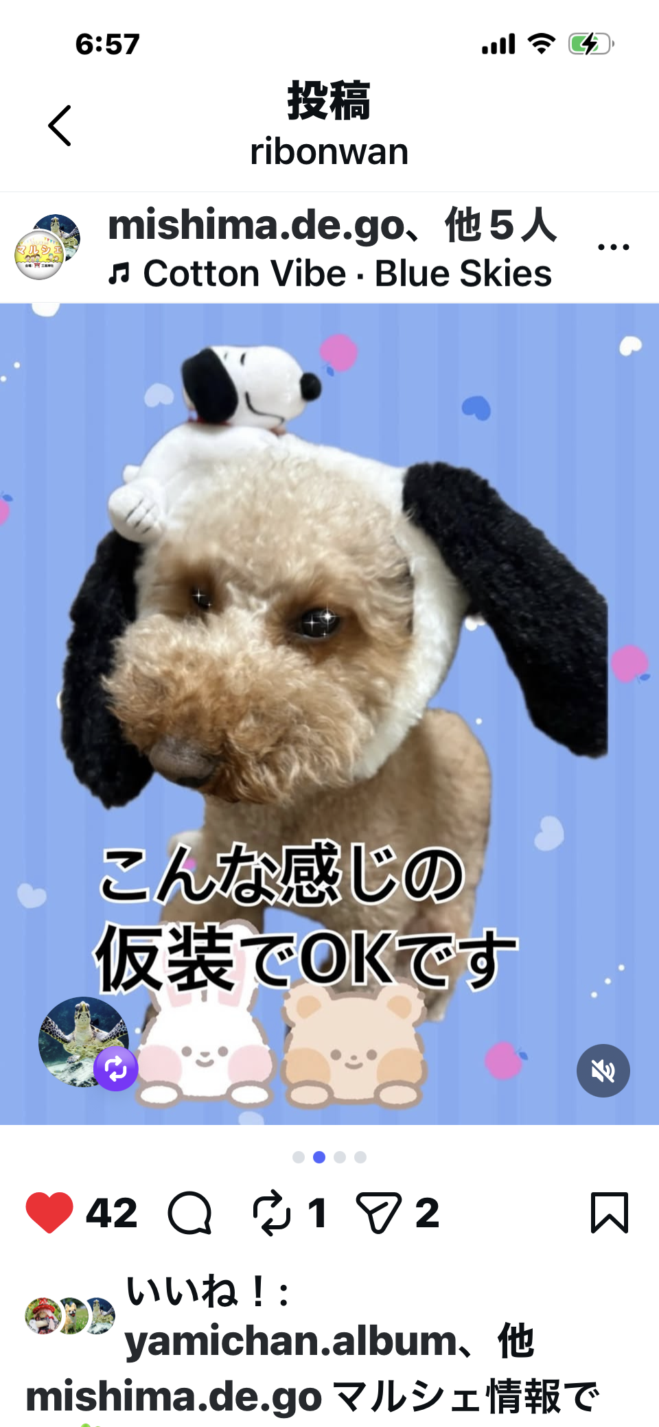 みしまDEマルシェ2606-05