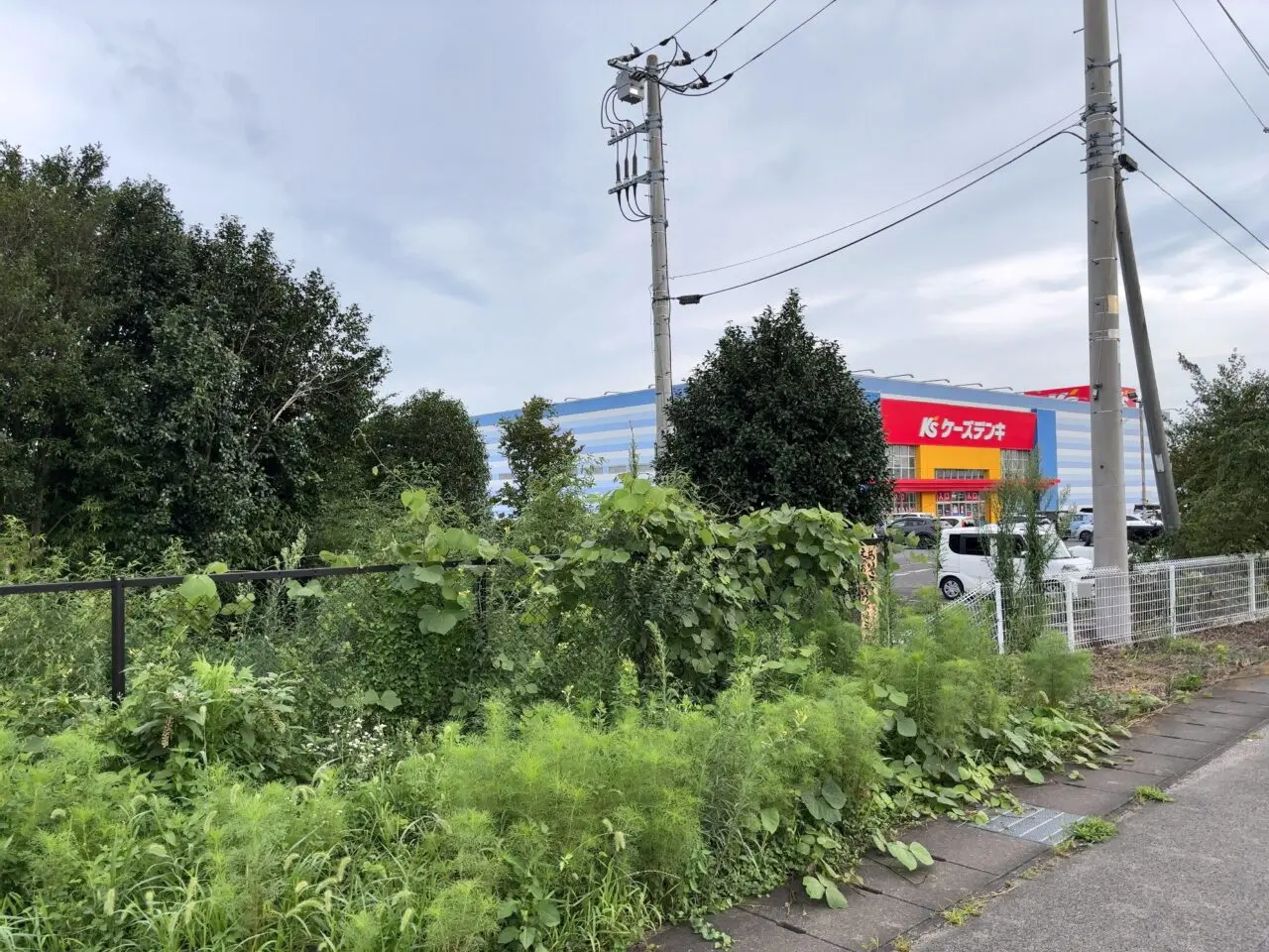 薬王堂西那須野太夫塚店計画地02
